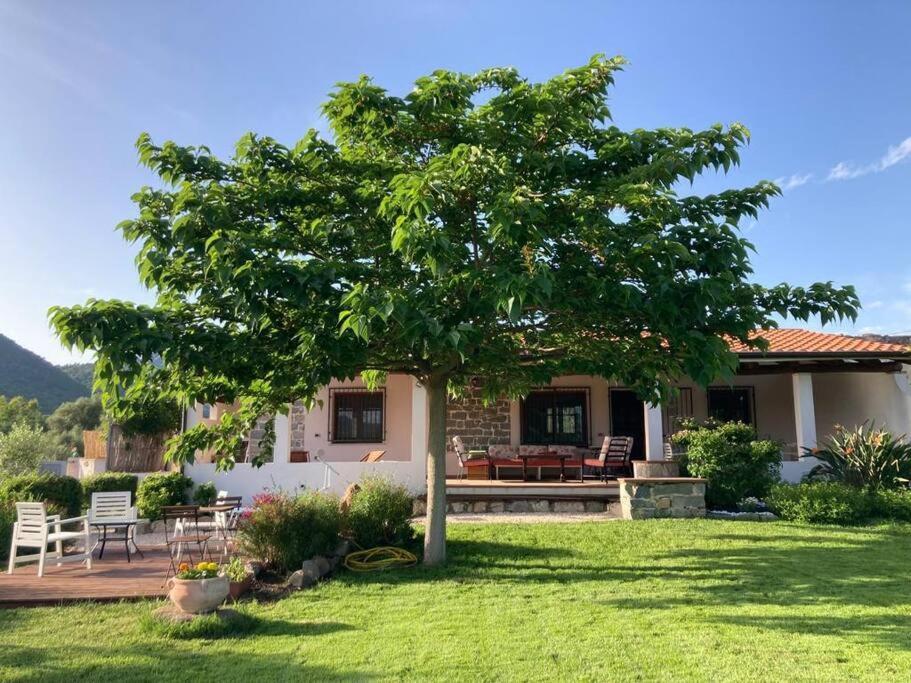 Countryside Villa In Sardinia Triei Bagian luar foto
