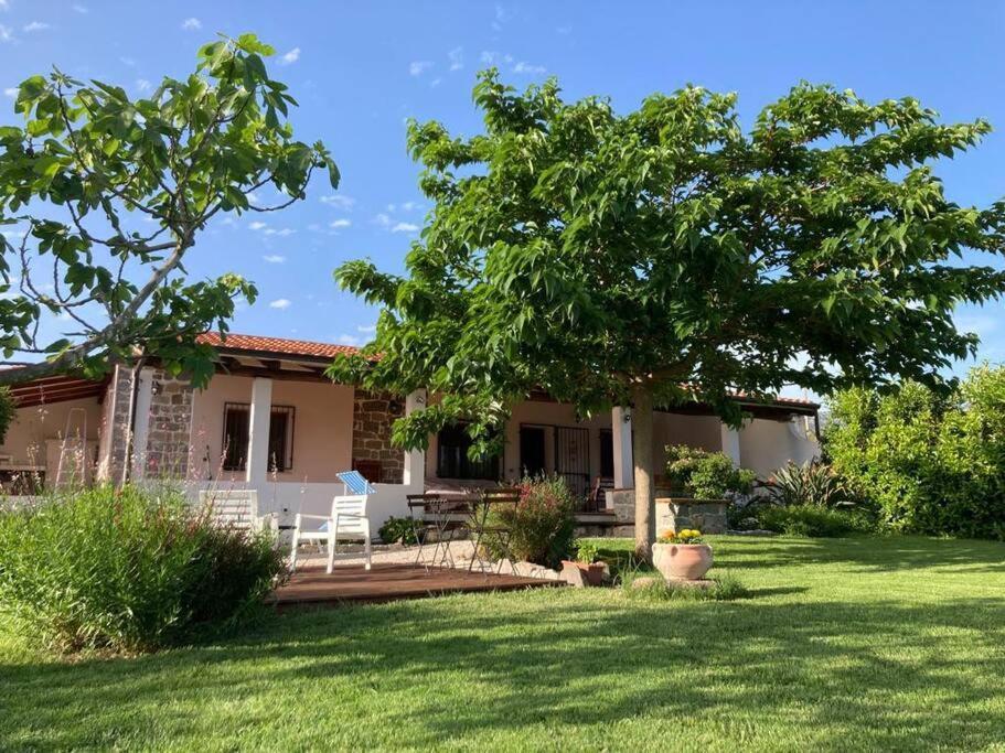 Countryside Villa In Sardinia Triei Bagian luar foto